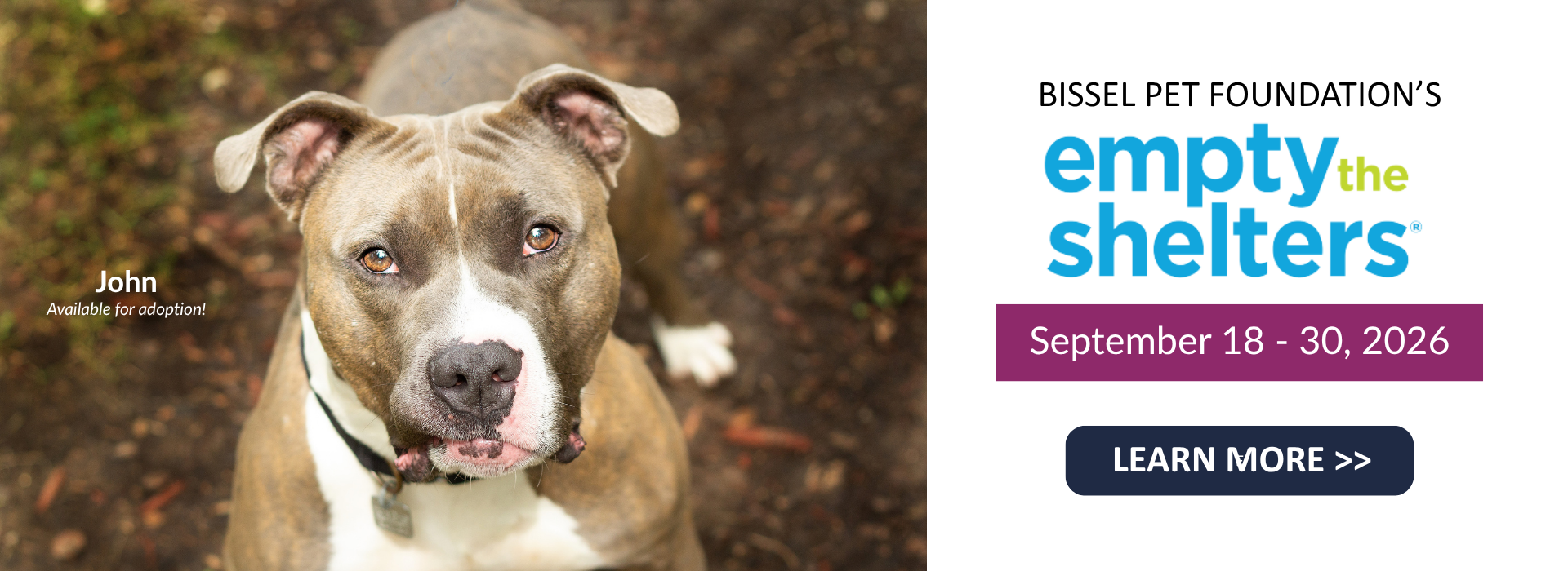 September Empty the Shelters